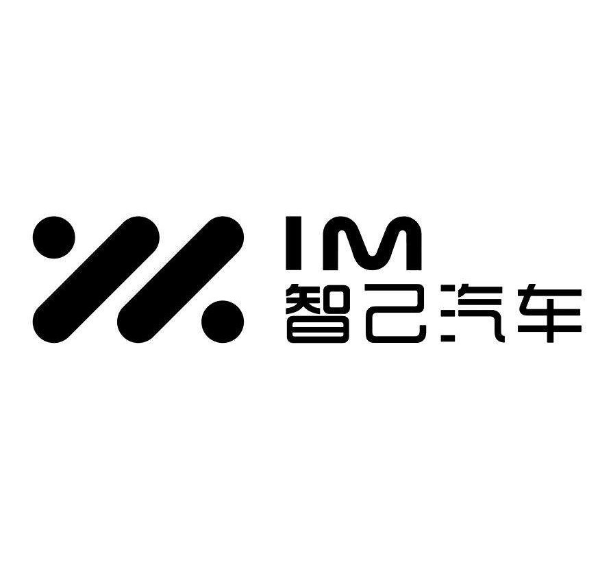 IM Logo