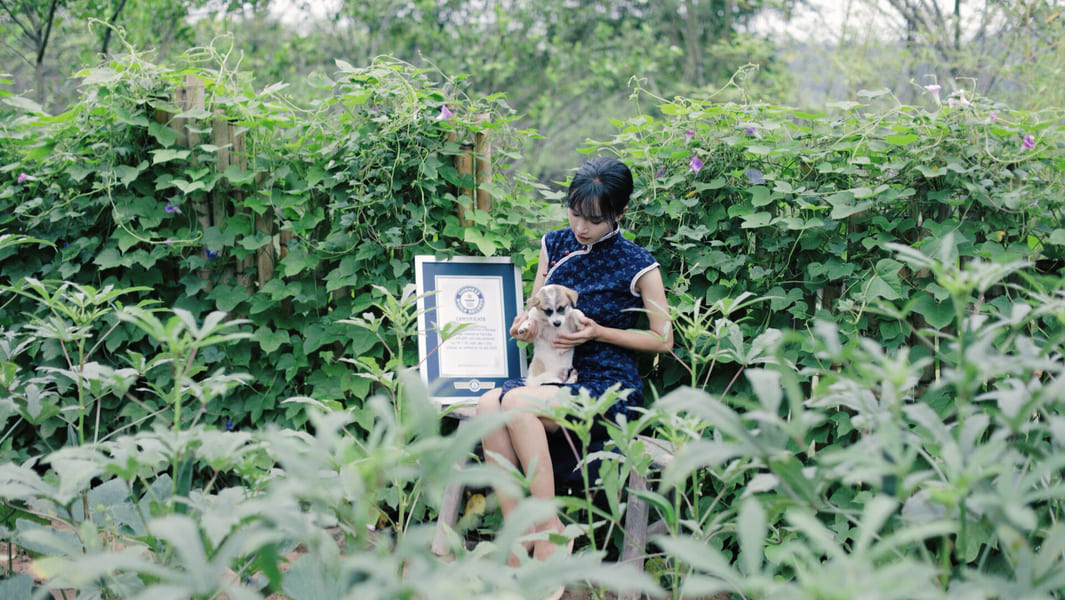 liziqi with her GWR certificate