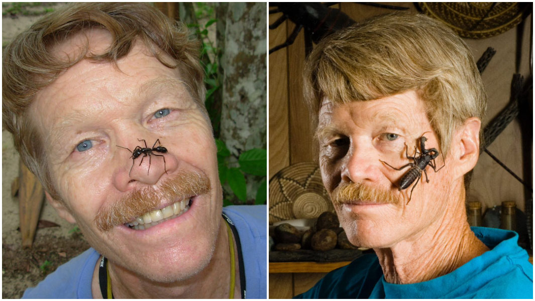 justin schmidt split image