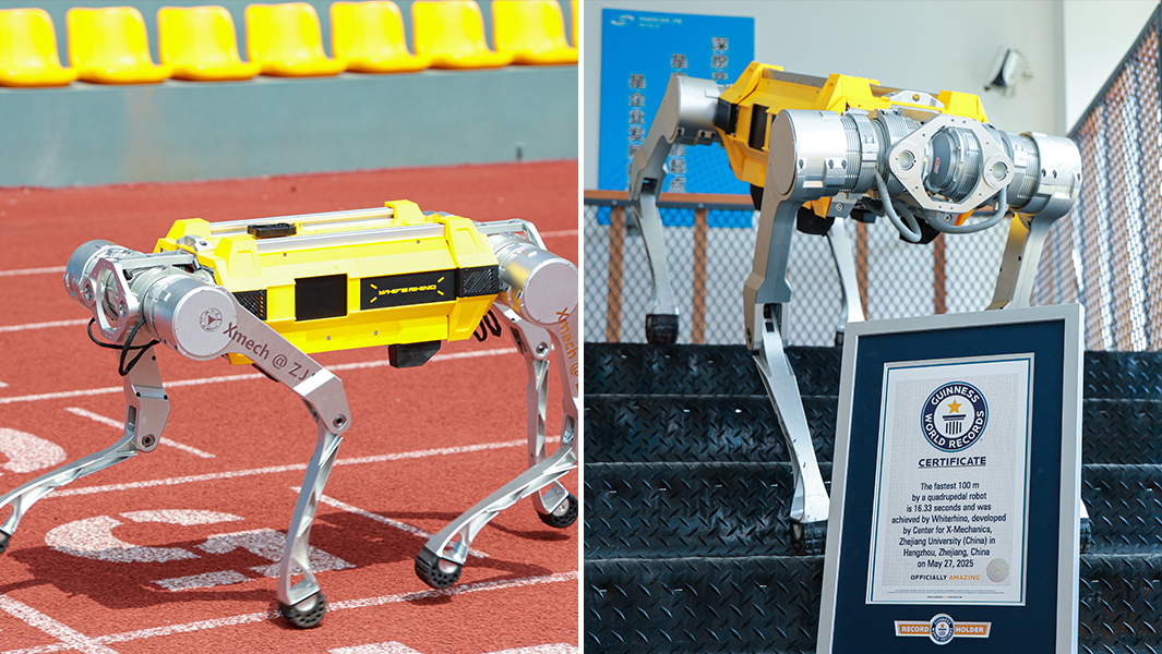 四足机器人“白犀”刷新最快的100米吉尼斯世界纪录