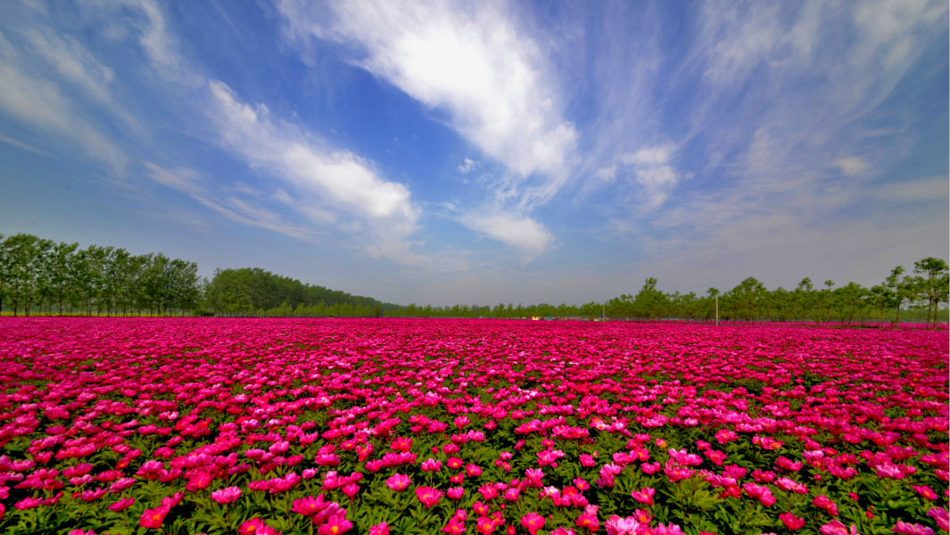 header-524596