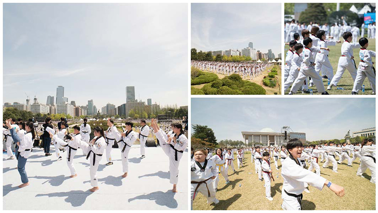 Largest Taekwondo lesson header collage