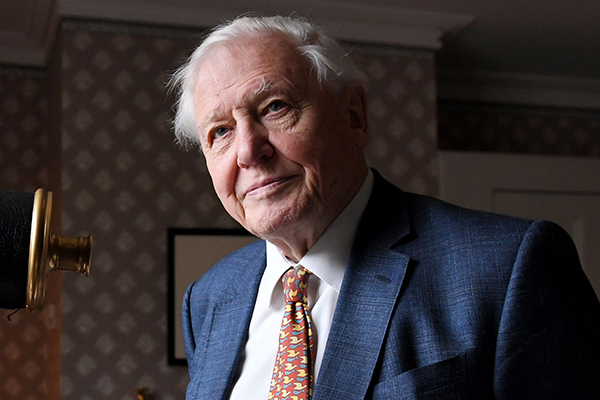 David Attenborough smiling