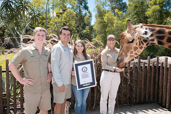 Forest the Giraffe with certificate